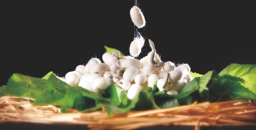 Real Silk vs Mulberry Silk: Do You Really Know the Difference? - OESLO